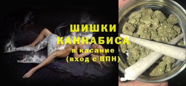 сатива Алзамай